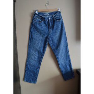 Pacsun Mom Jeans Dark Wash